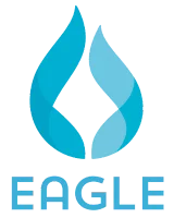 Eagle icon