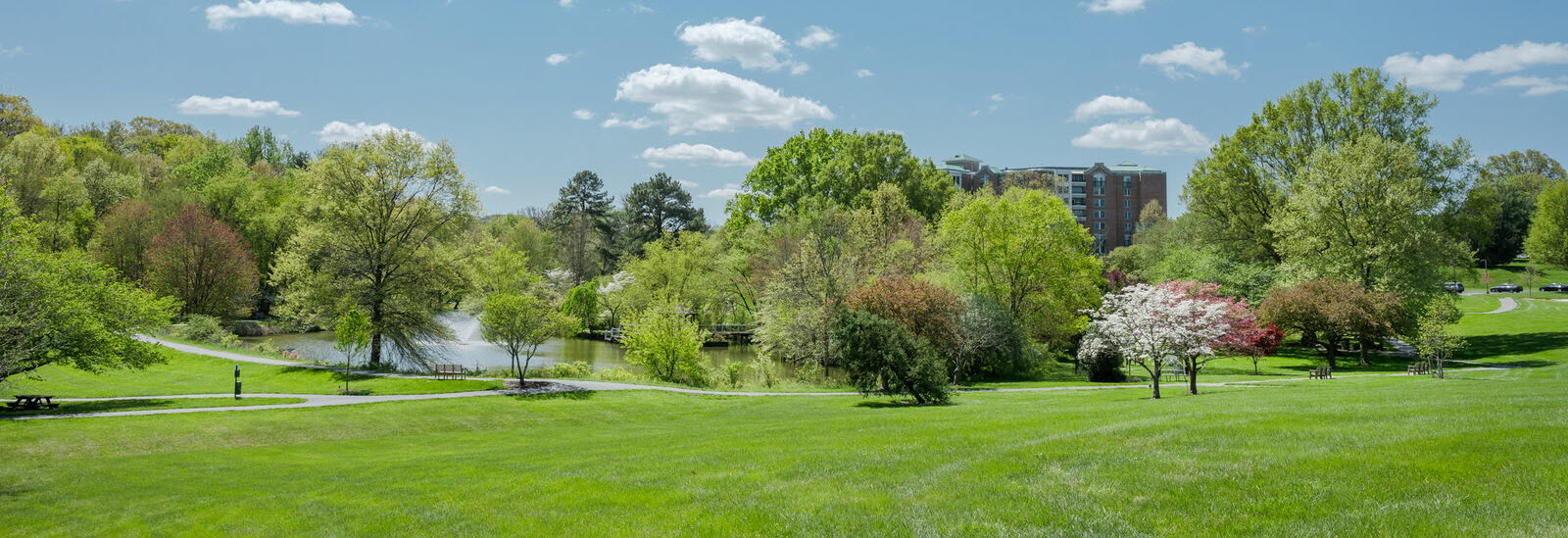 large green lawn leads into Asbury nature preserve with walking paths and large pond